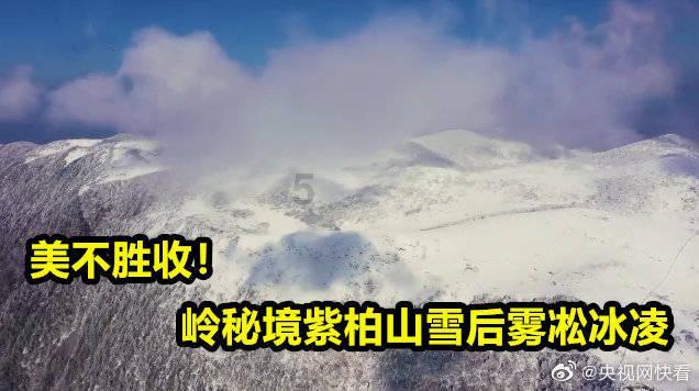 陌伴交友靠谱吗？游戏画面